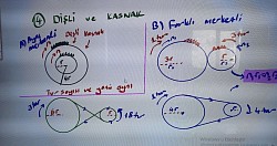 Bst Mkn