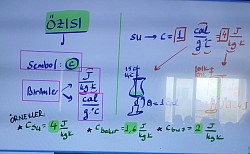 özısı