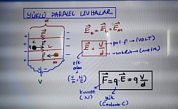 Yüklü par.lev.