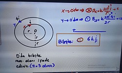 Çember tel soru