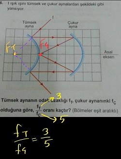örnek
